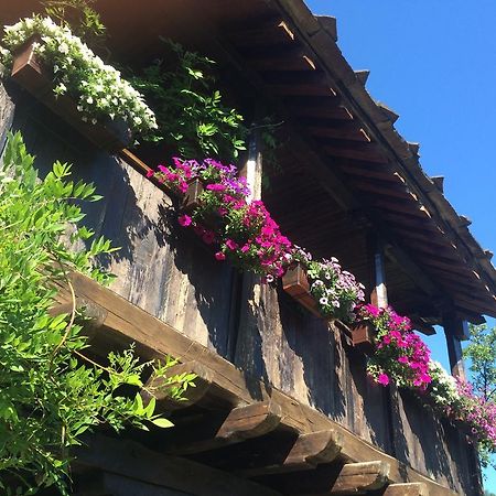 Stefanina Guesthouse Bozhentsi Exterior foto