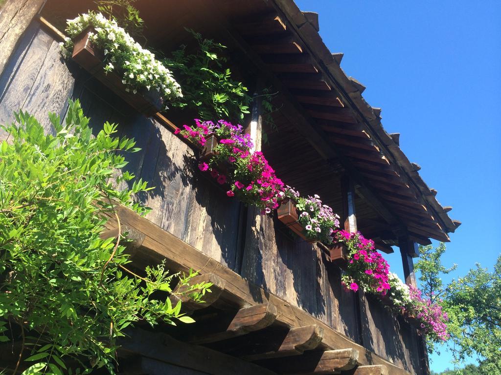 Stefanina Guesthouse Bozhentsi Exterior foto